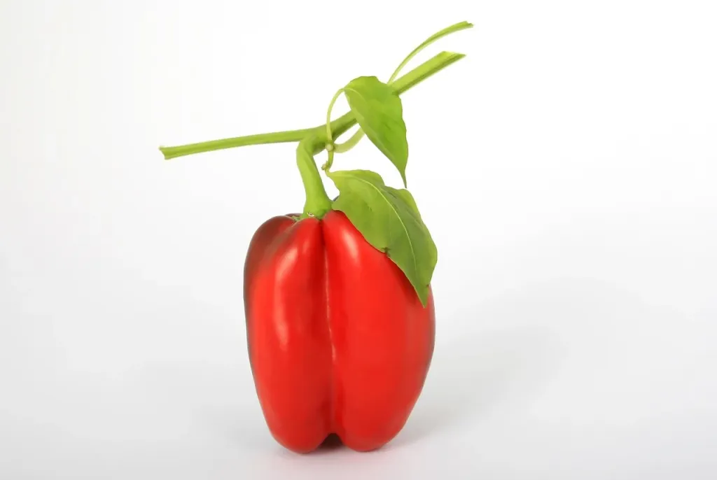 Kolorowa miska buddha bowl z ciecierzycą, awokado, komosą ryżową i sosem tahini jako przykład zdrowego dania wegańskiego.
